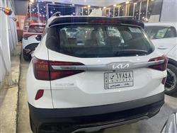 کیا سێلتۆس